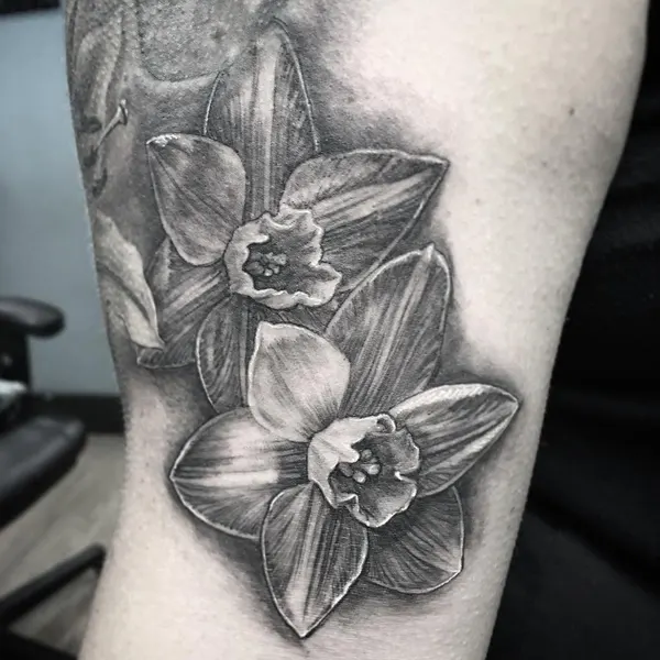 Flower, 난초