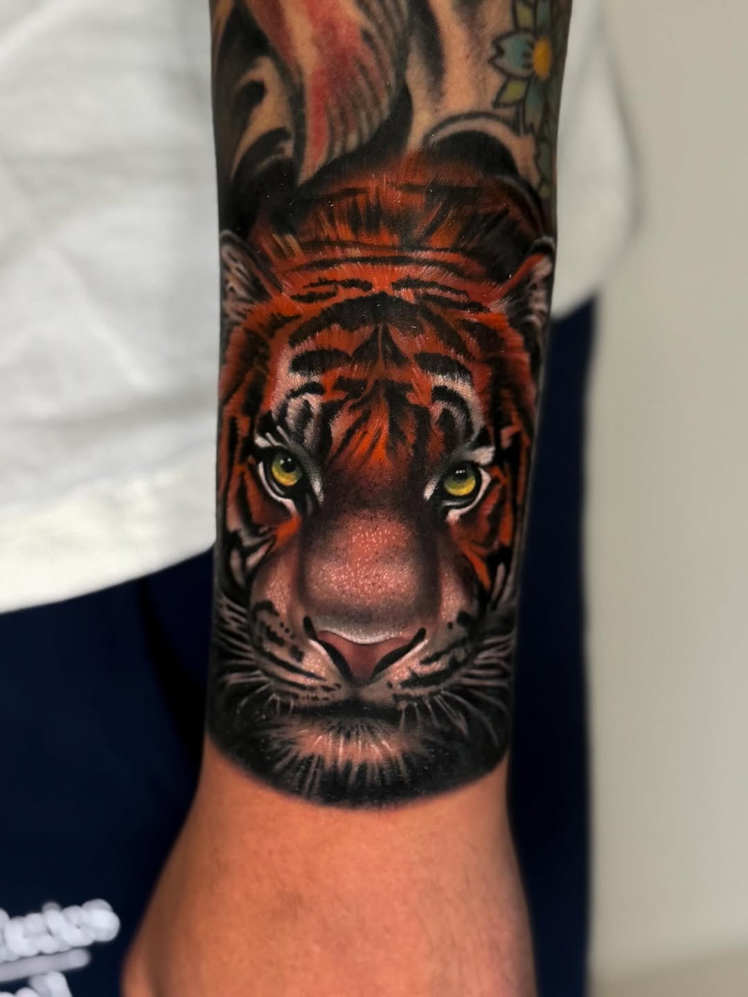 Tiger, 중국 호랑이, 치타, 한국 호랑이