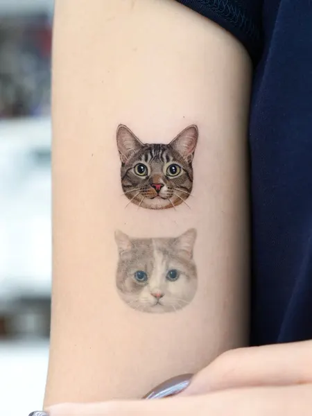 텐구, 함사, 고양이, 마네키네코, 여우 가면, 반려동물