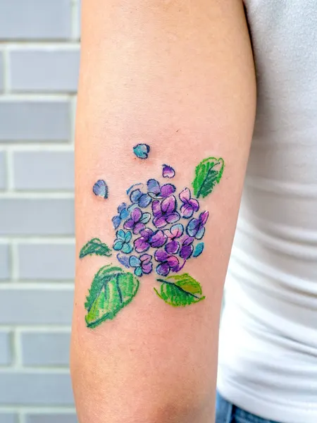 Flower, 수국