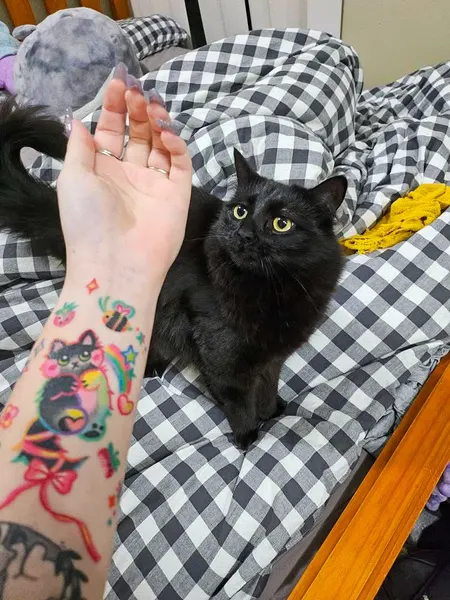 Animal