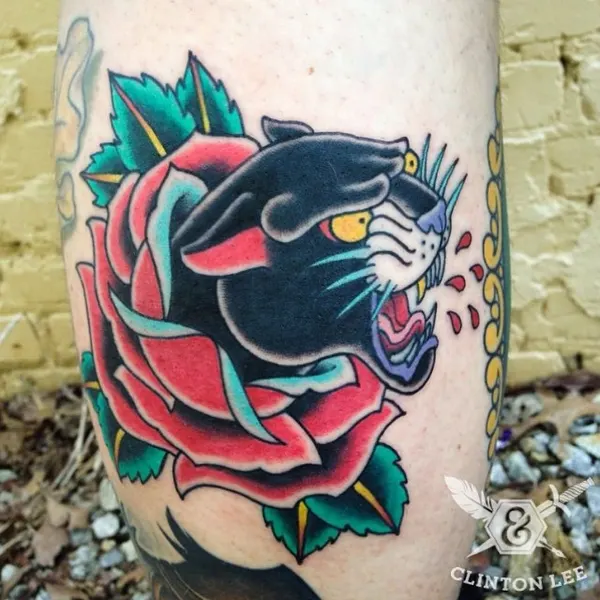 Animal, Tiger