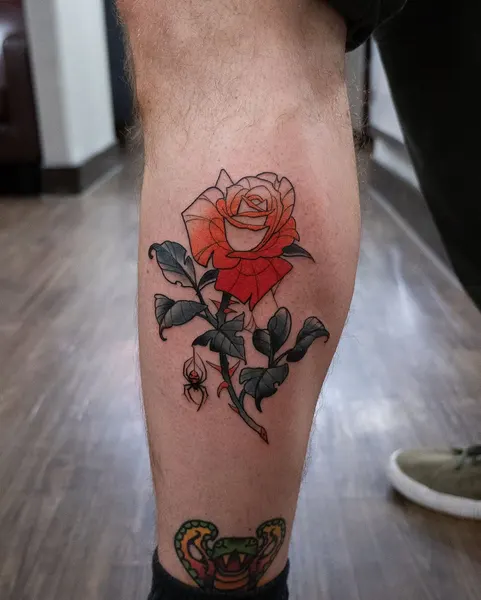 Flower, Rose