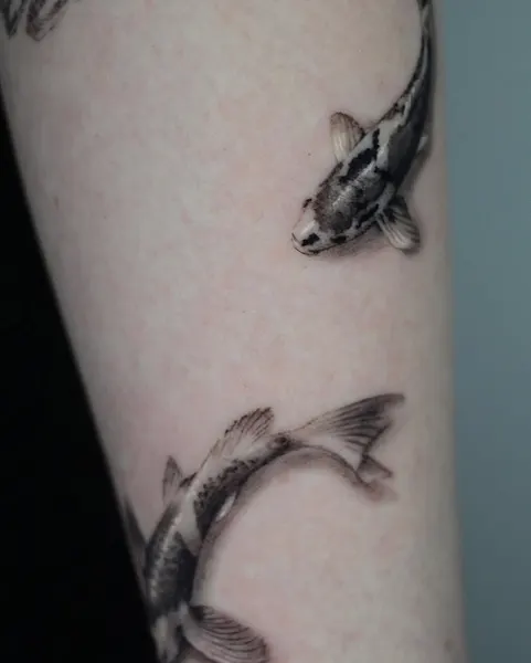 Animal, 잉어