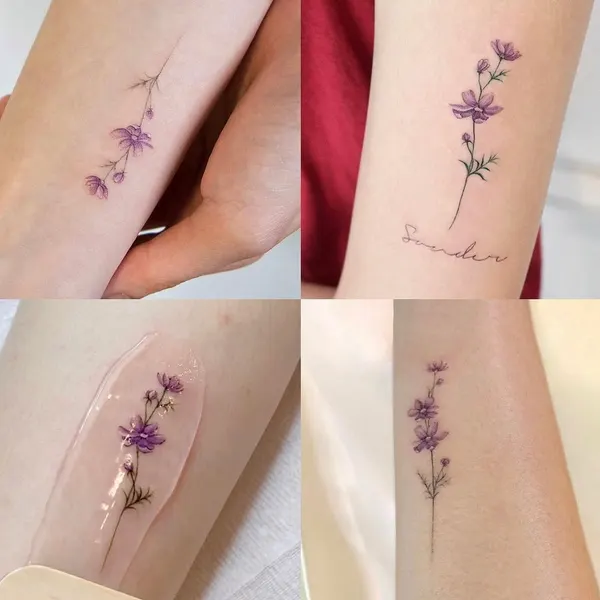 Flower, 라벤더, 민들레