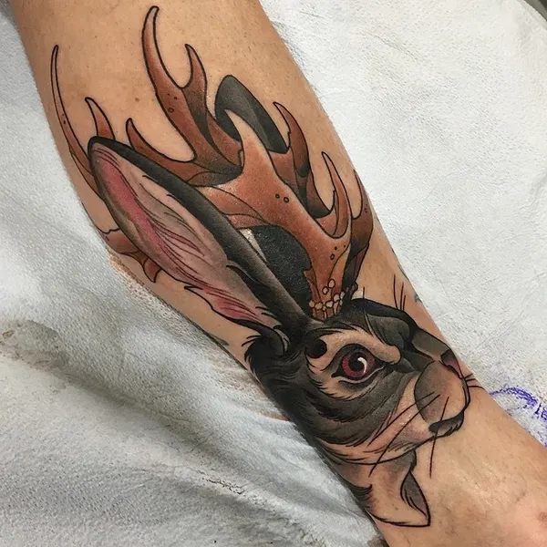 Animal, 사슴