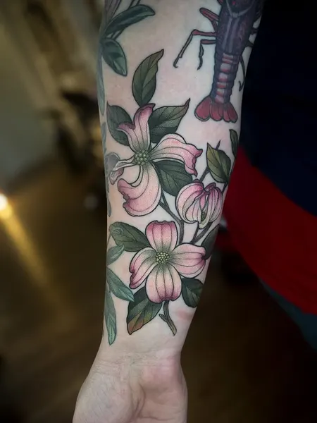 Flower, Rose, 매화