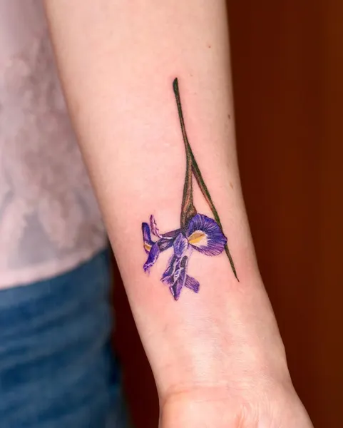 Flower, 난초, 아이리스, 백합, 튤립