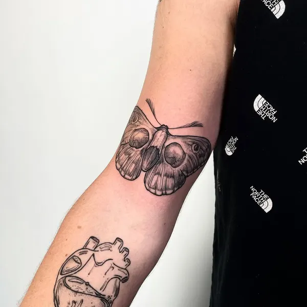 Animal, Nature