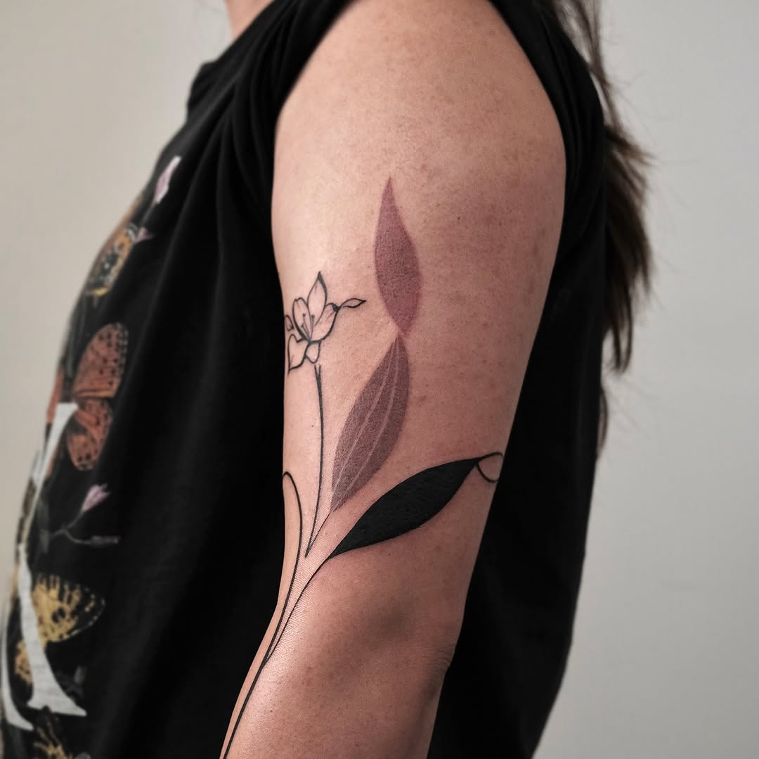 Flower, Rose