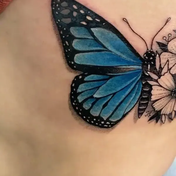 Animal, Nature, 나비