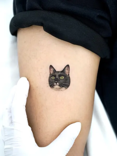 텐구, 함사, 고양이, 반려동물, 마네키네코, 여우 가면