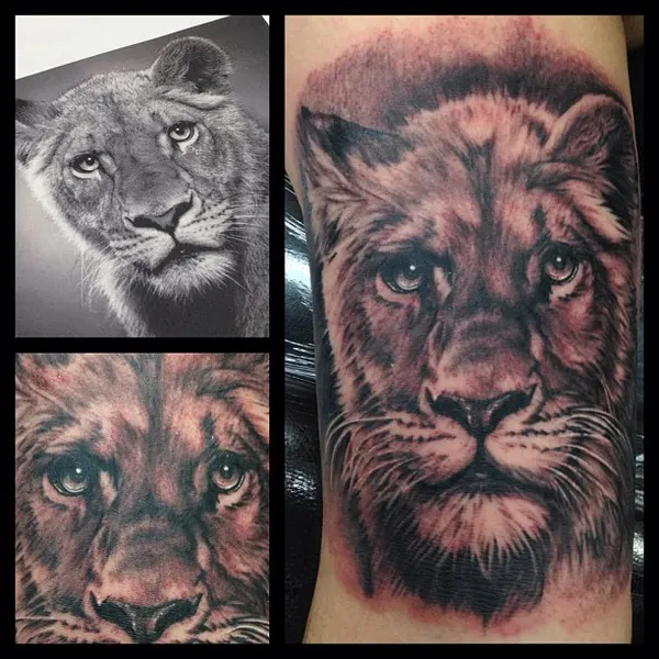 Tiger