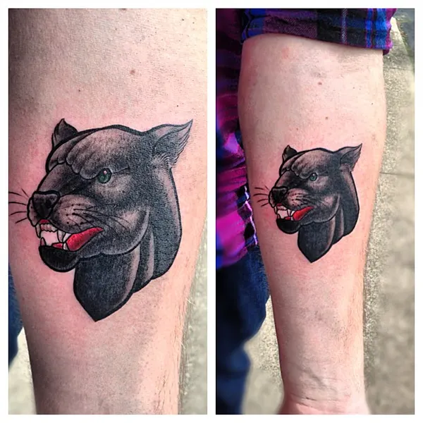 Animal, Tiger