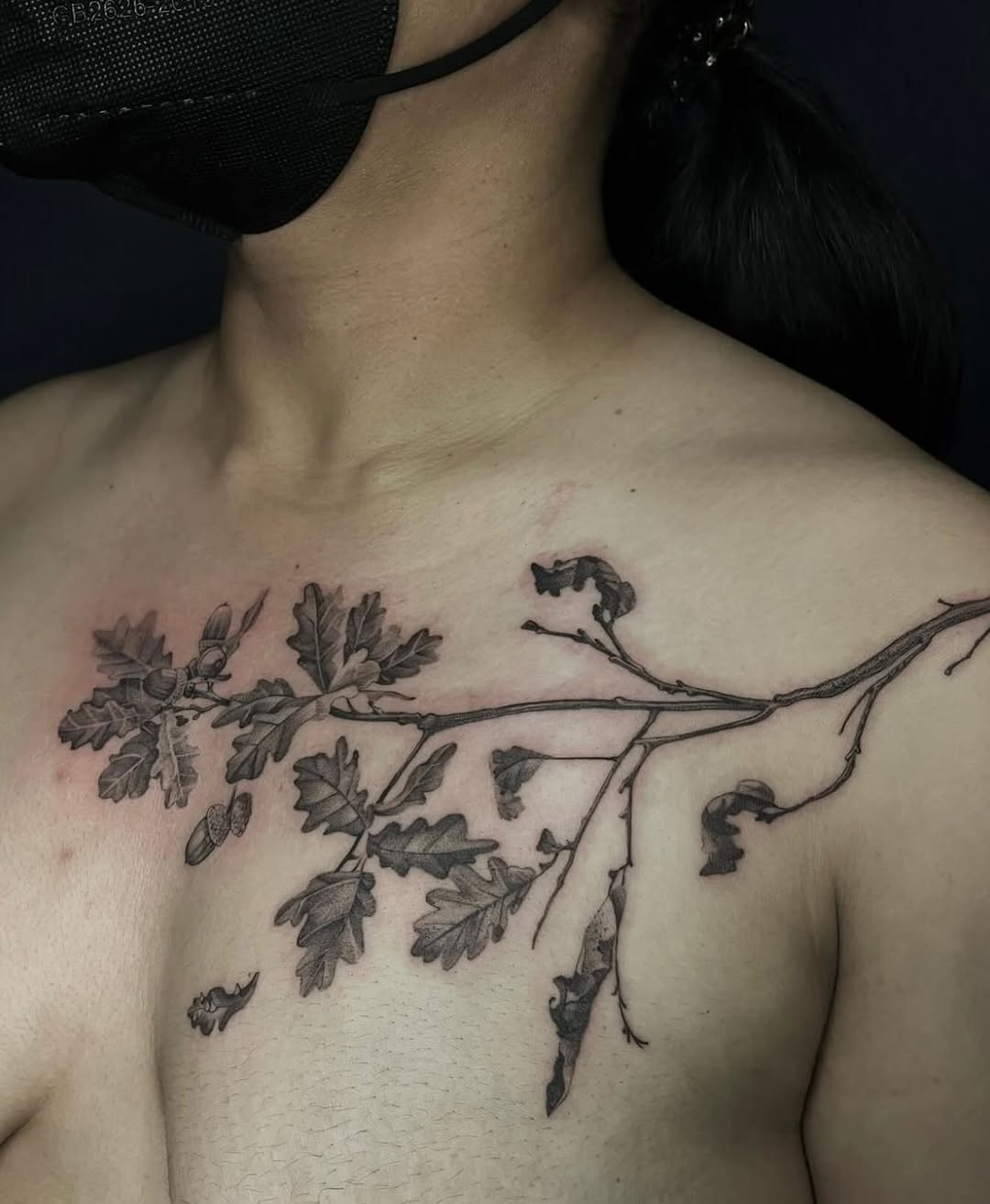 Flower, Rose, Nature