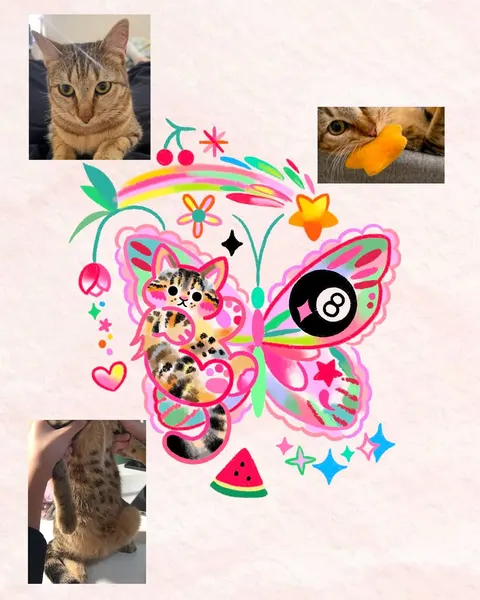 Animal