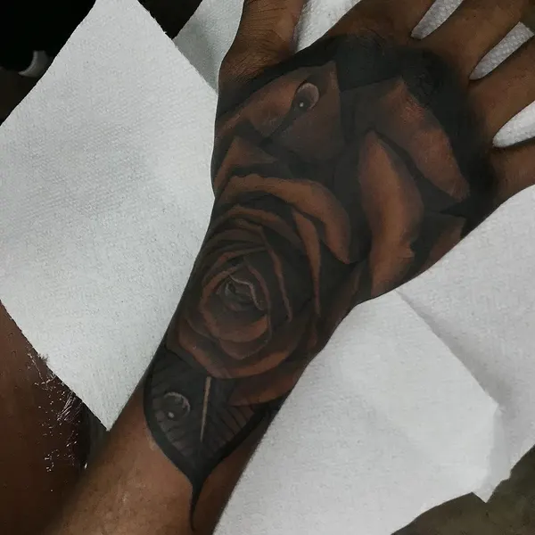 Flower, Rose