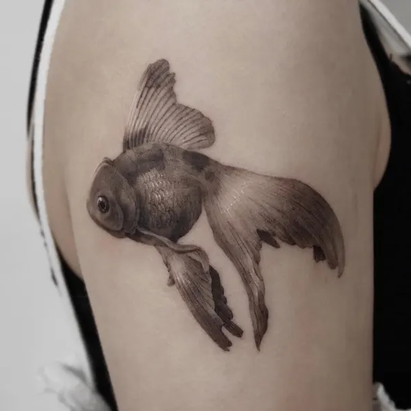 버섯, Animal, 조개, 백조, 조개껍데기