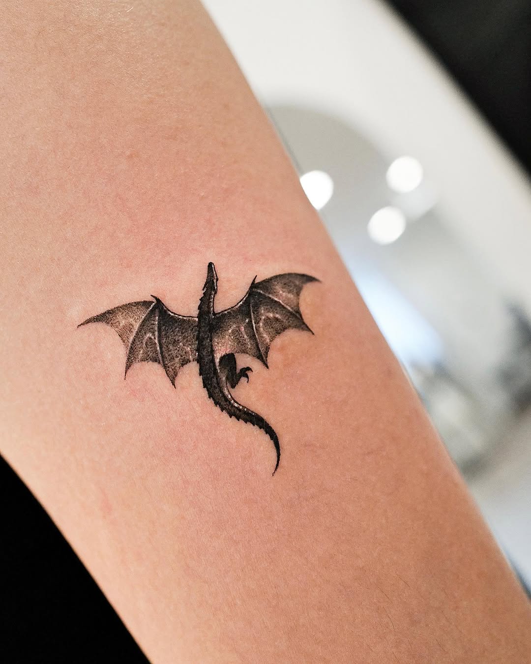 Dragon, 박쥐
