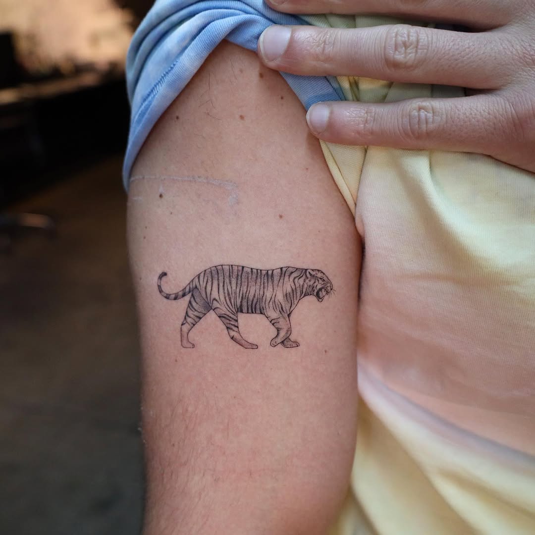 소, 양, Tiger, 팬서, 너구리, 멧돼지, Animal, 돼지, 함사, 나무늘보