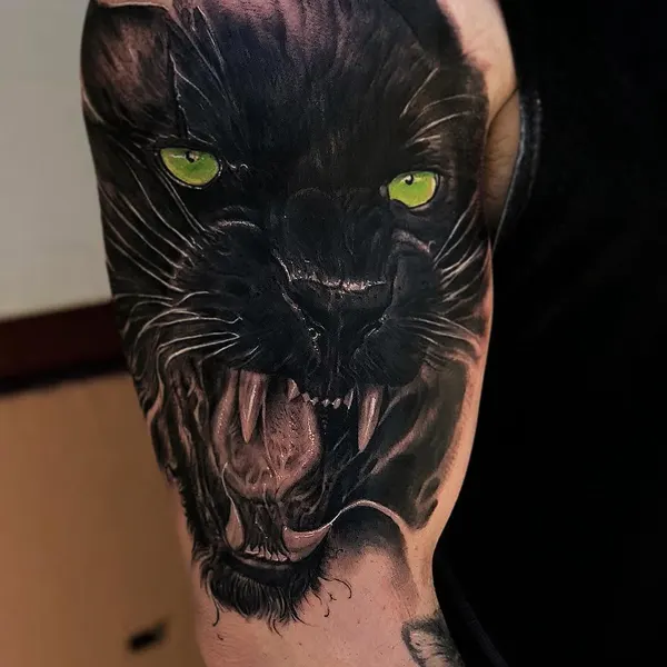 Animal, Tiger, 팬서