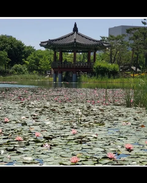 Flower, 고궁, 일본, 일본 구름, 일본 단풍, 일본 파도, 일본어 레터링, 한자 레터링