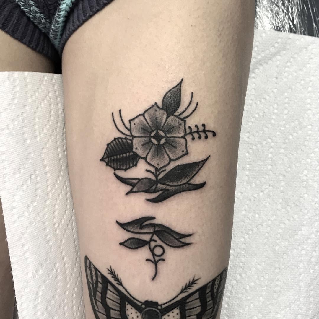 Flower, Rose, Animal