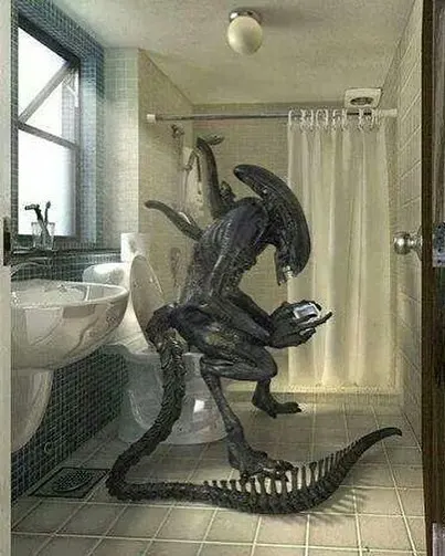 게, 전갈자리