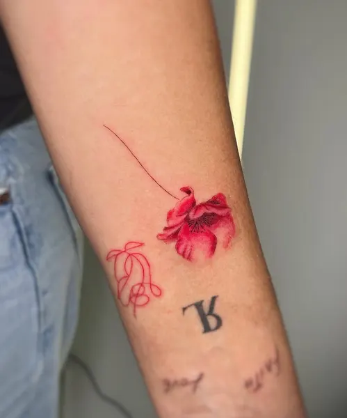 Flower, Rose