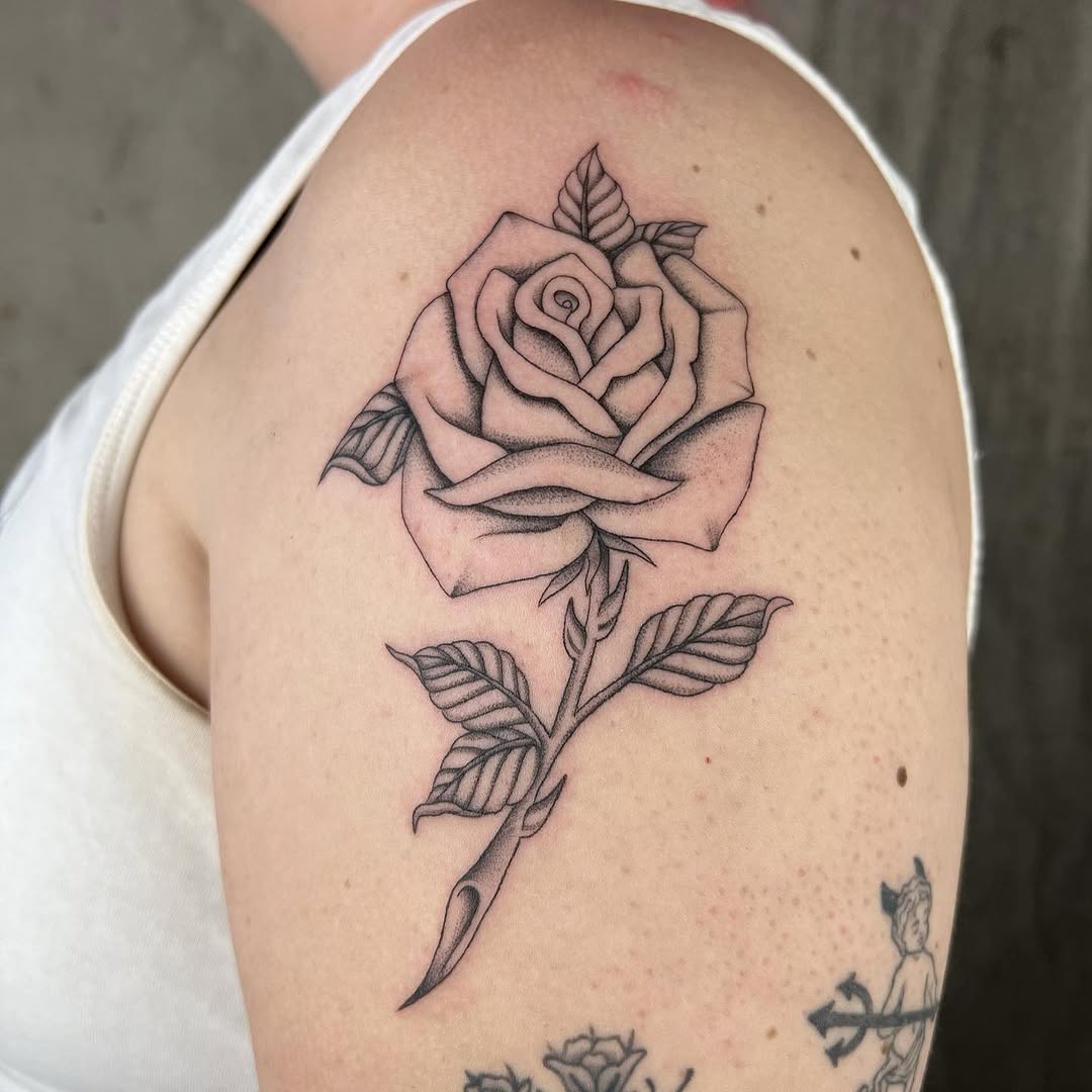 Flower, Rose, Nature
