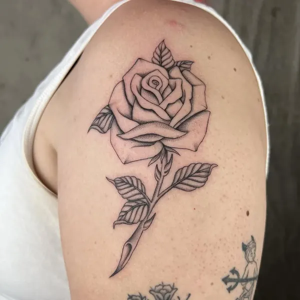 Flower, Rose, Nature