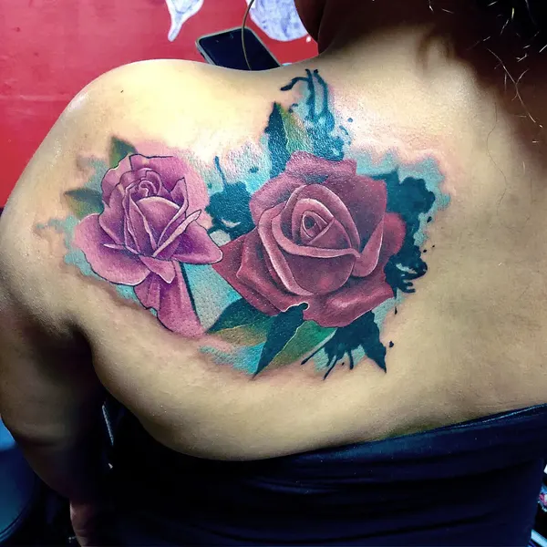 Flower, Rose, Nature