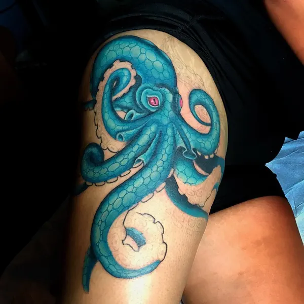 문어, Animal, 오징어, 크라켄