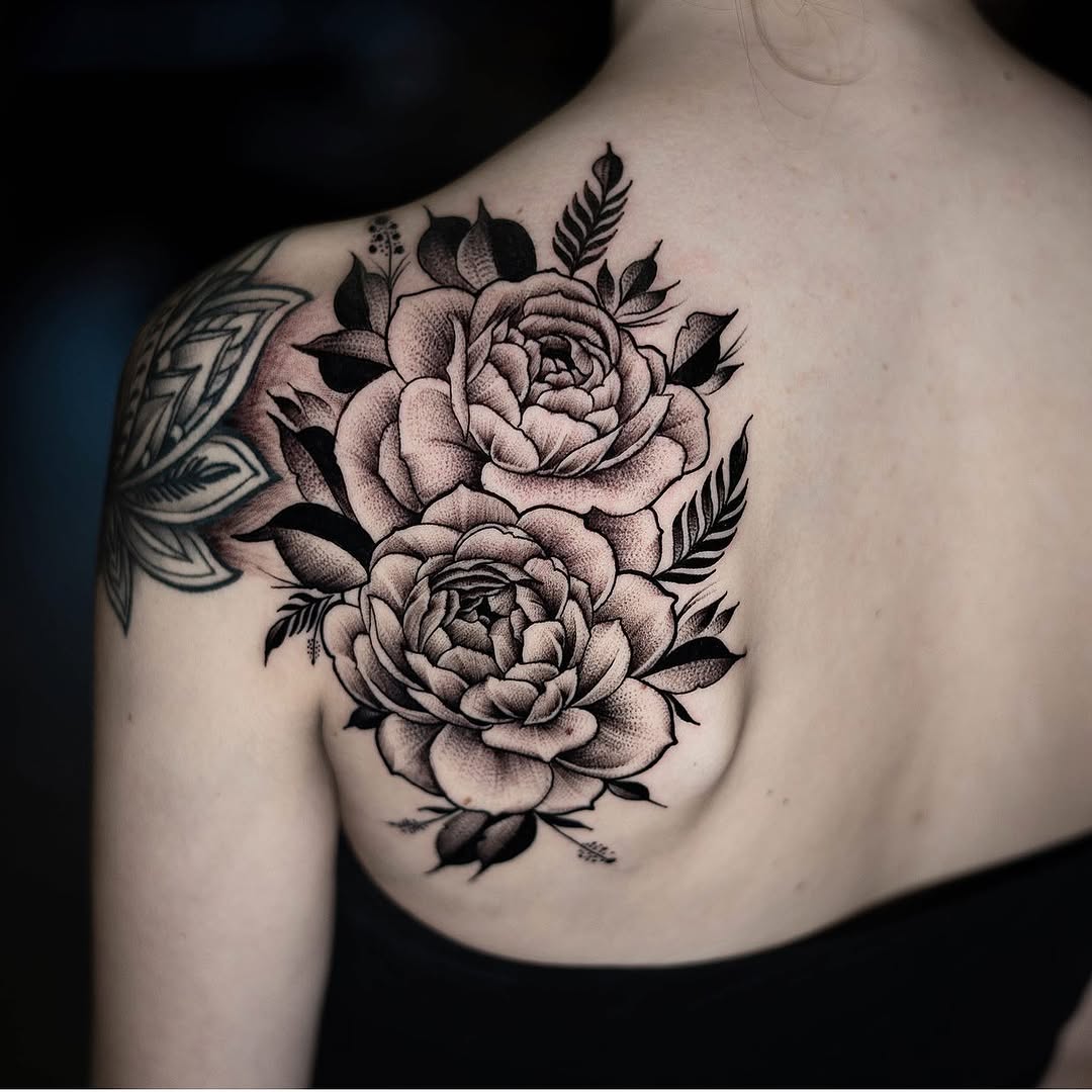 Flower, Rose, Nature