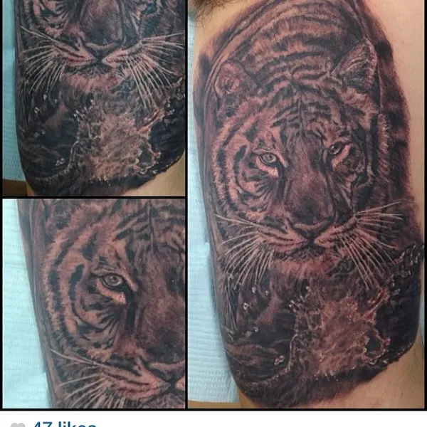 Tiger