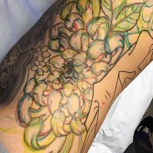 Flower, Rose