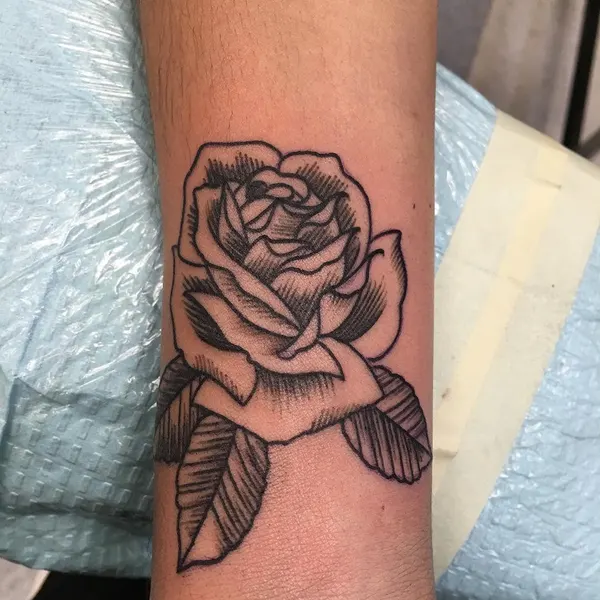 Flower, Rose