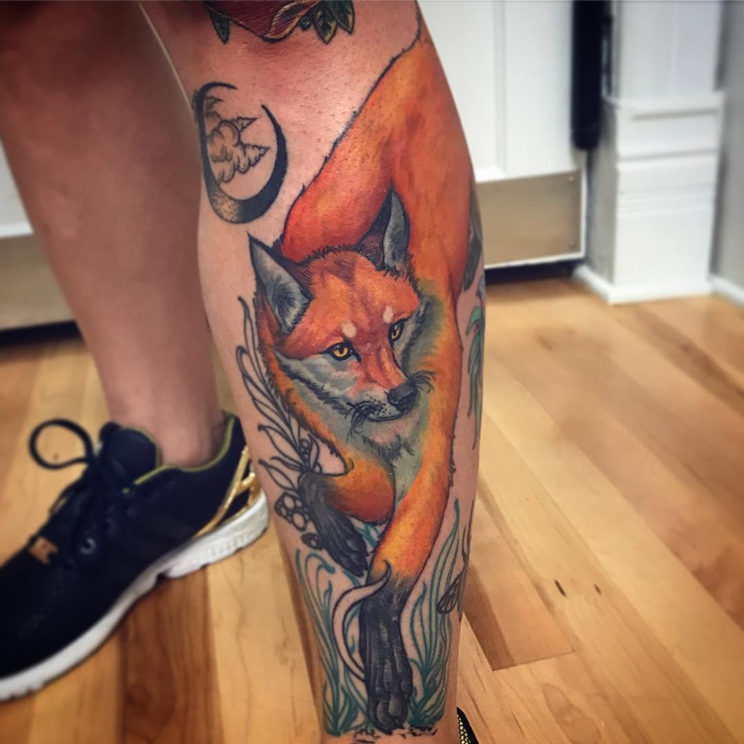Animal, 여우