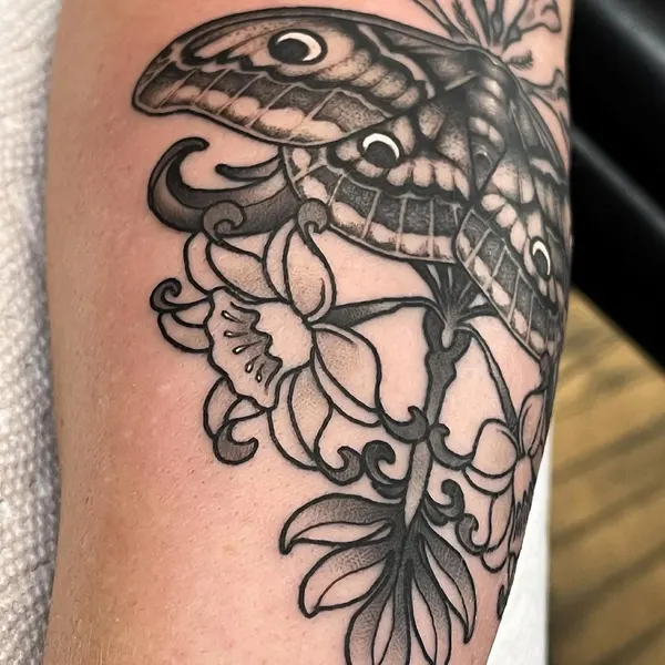 Animal, Nature