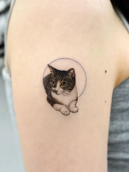 고양이