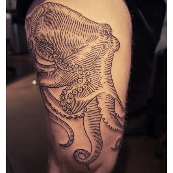 Animal, 문어