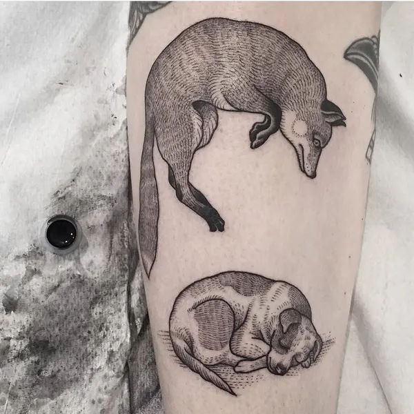 Animal