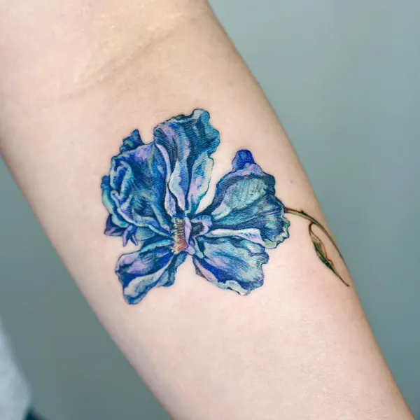 Flower, Rose