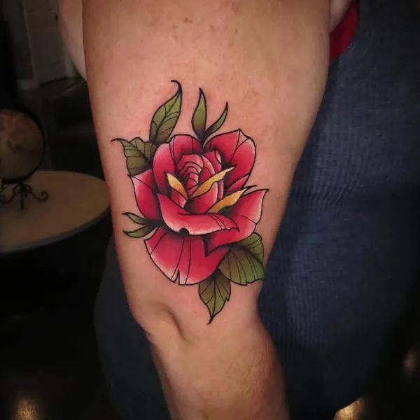Flower, Rose, Nature