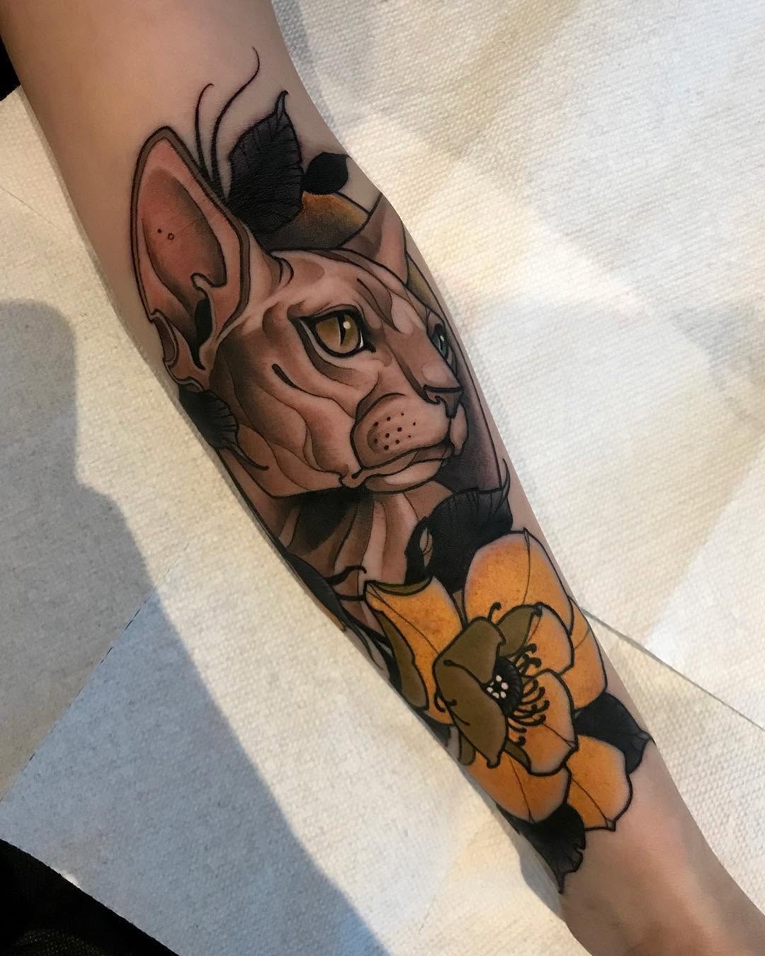 Animal, Tiger, 돼지, 멧돼지