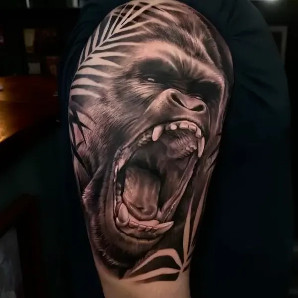 Animal, Tiger, 고릴라