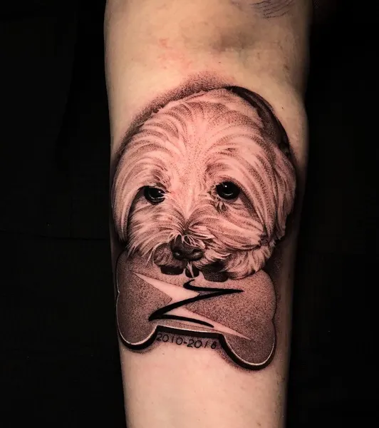 Animal