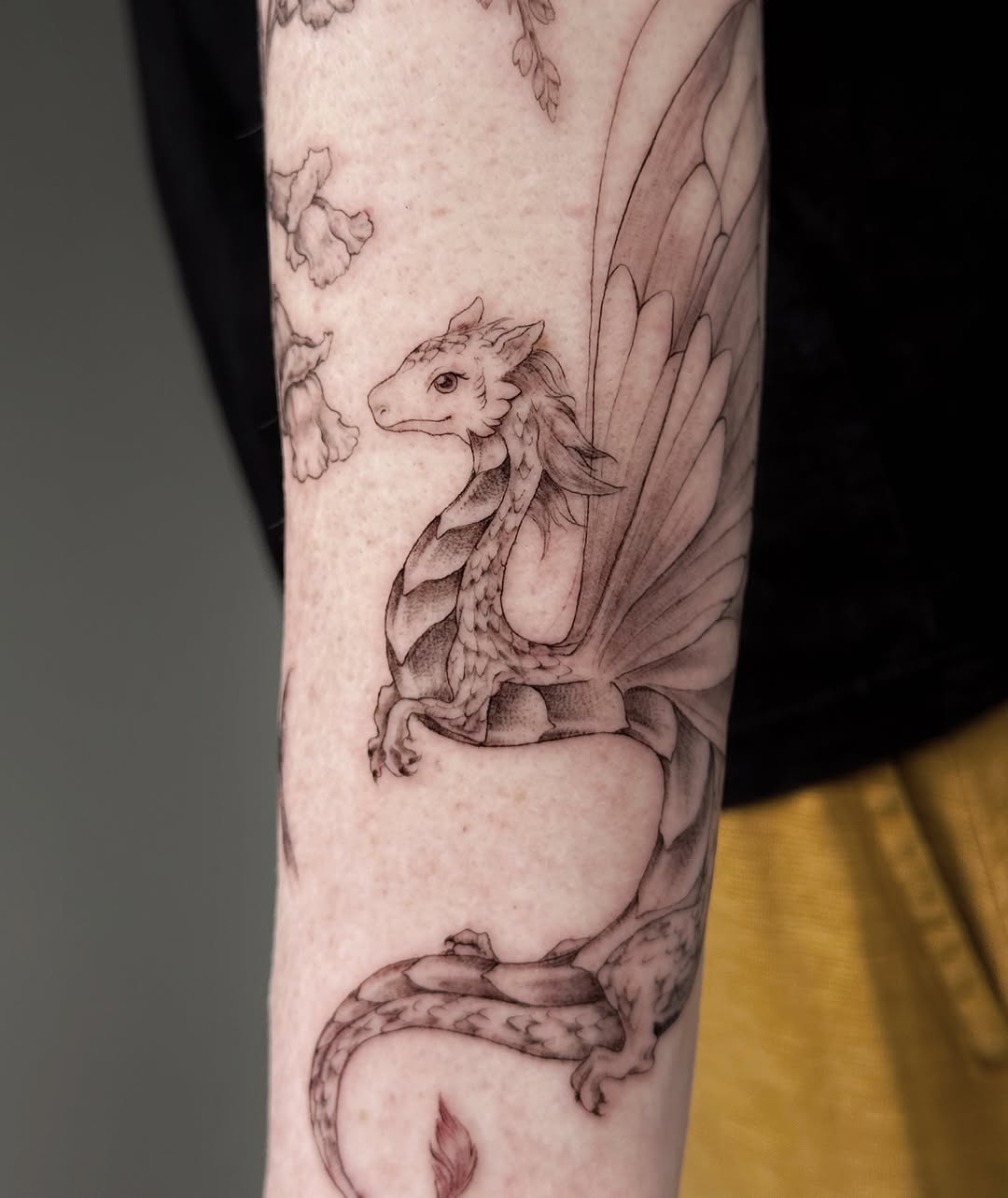 Dragon, 드래곤 라이더