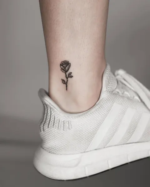 Animal, Nature, 나비