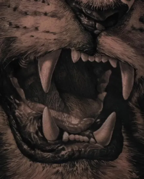 Tiger, 고릴라